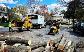 How Our Tree Care Process Works  in  Sibley, IA